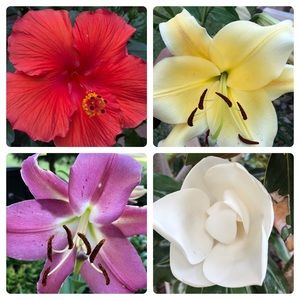 Meet your Posher, Verna